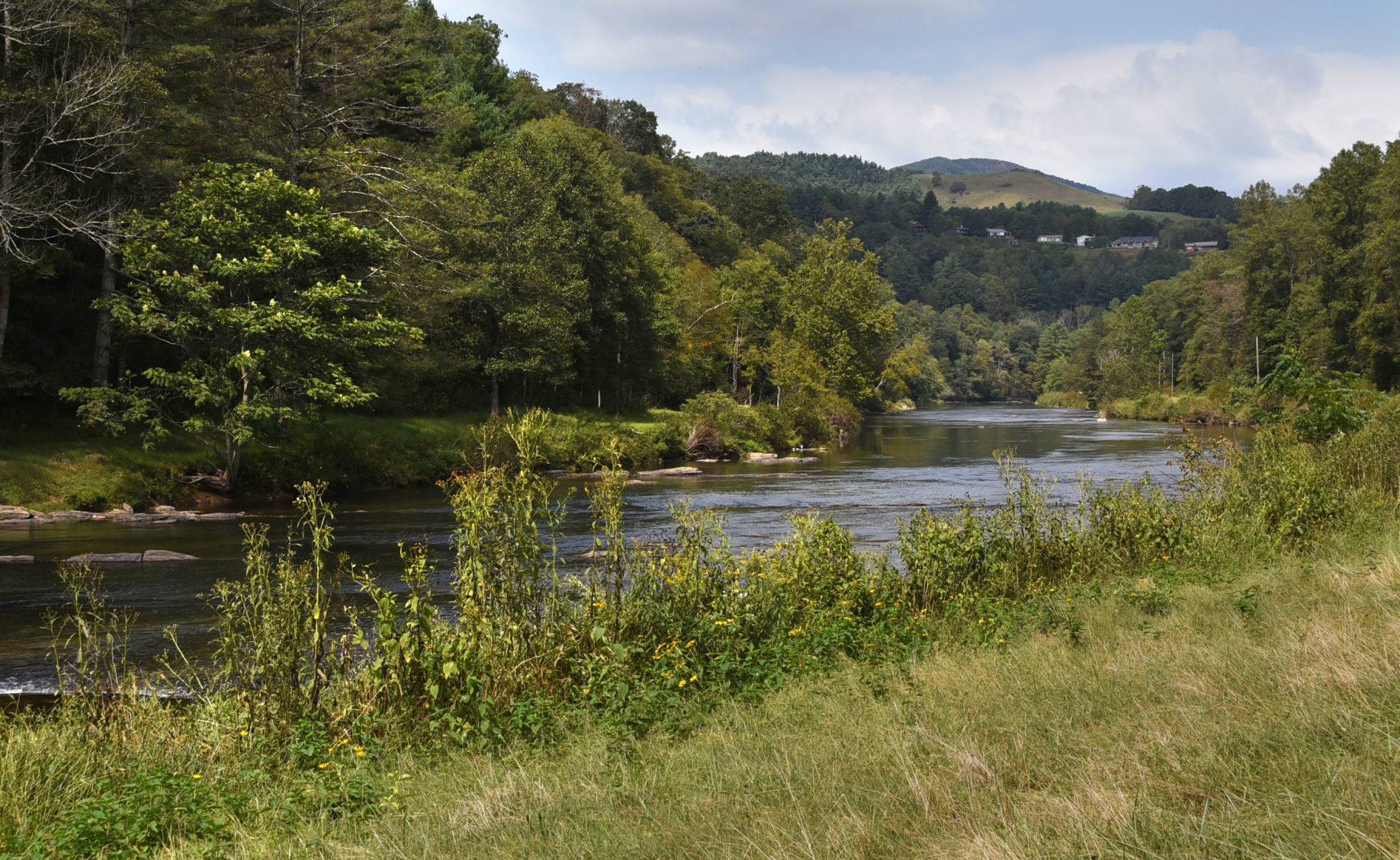 Elk Shoals rewilding